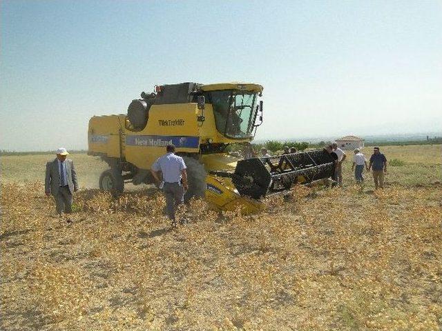 Akçadağ’da Aspir Tarla Günü Yapıldı