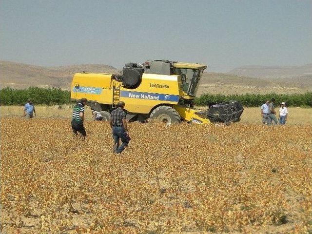 Akçadağ’da Aspir Tarla Günü Yapıldı