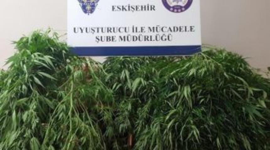 Eskişehir&rsquo;de Uyuşturucu Operasyonu