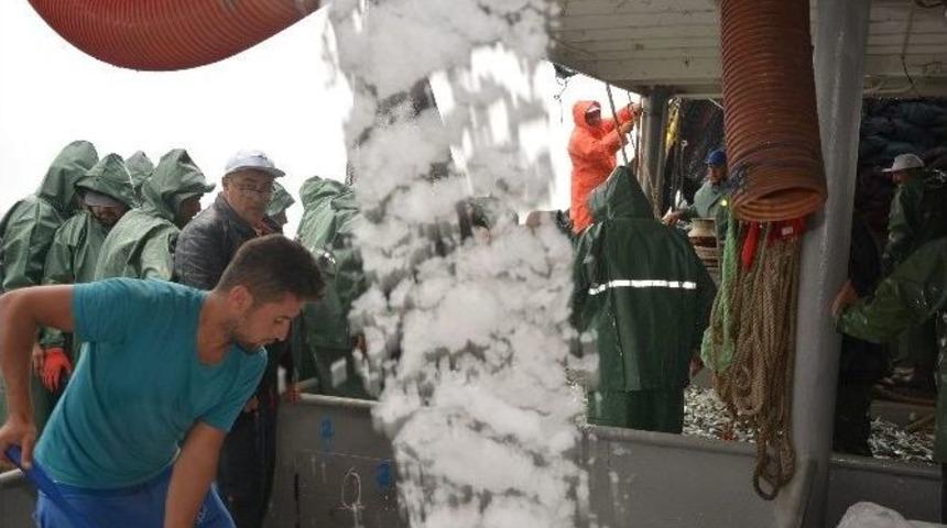 Balık&ccedil;ıların Y&uuml;z&uuml; G&uuml;lmeye Başladı