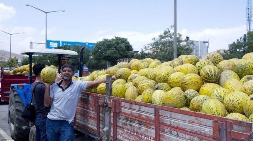 Kavun Ve Karpuz &Uuml;reticisi Satışlardan Memnun