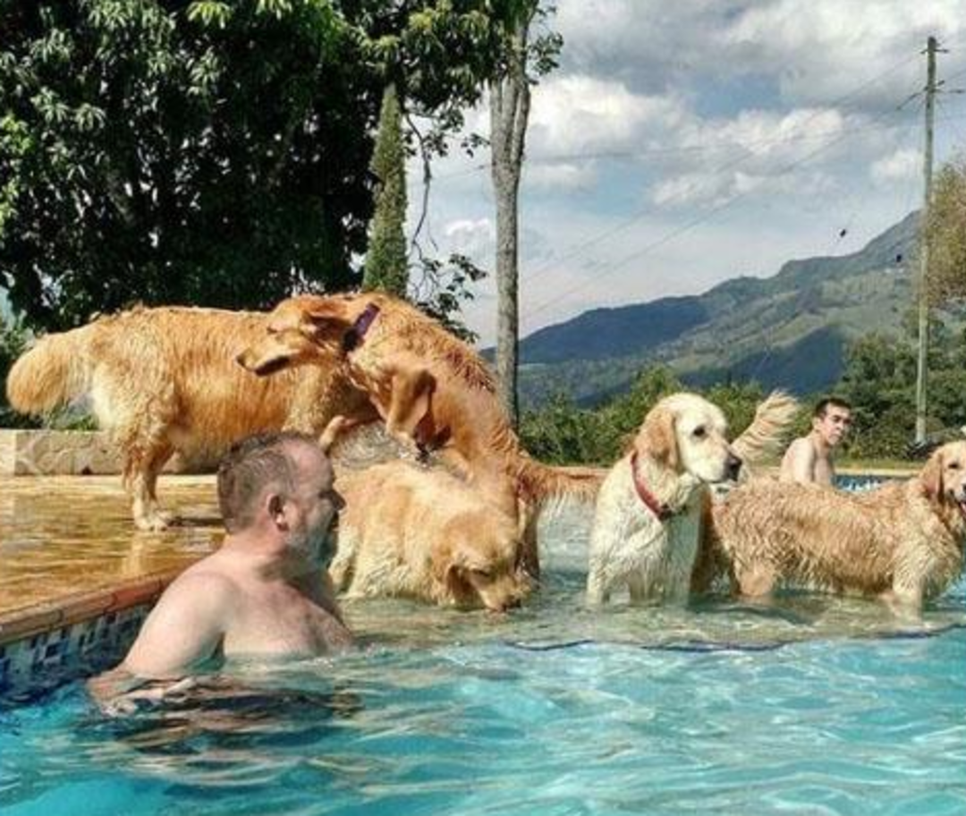 "İngiliz Escobar" ve eşi dudak u&ccedil;uklatan servetiyle yakalandı 