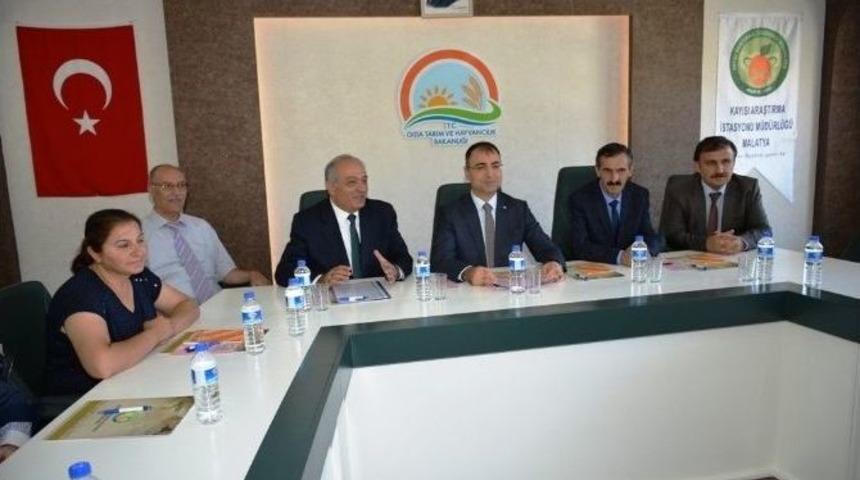 &lsquo;&ccedil;ilek Yetiştiriciliğinde Kadın Eli Projesi&rsquo; Tanıtıldı