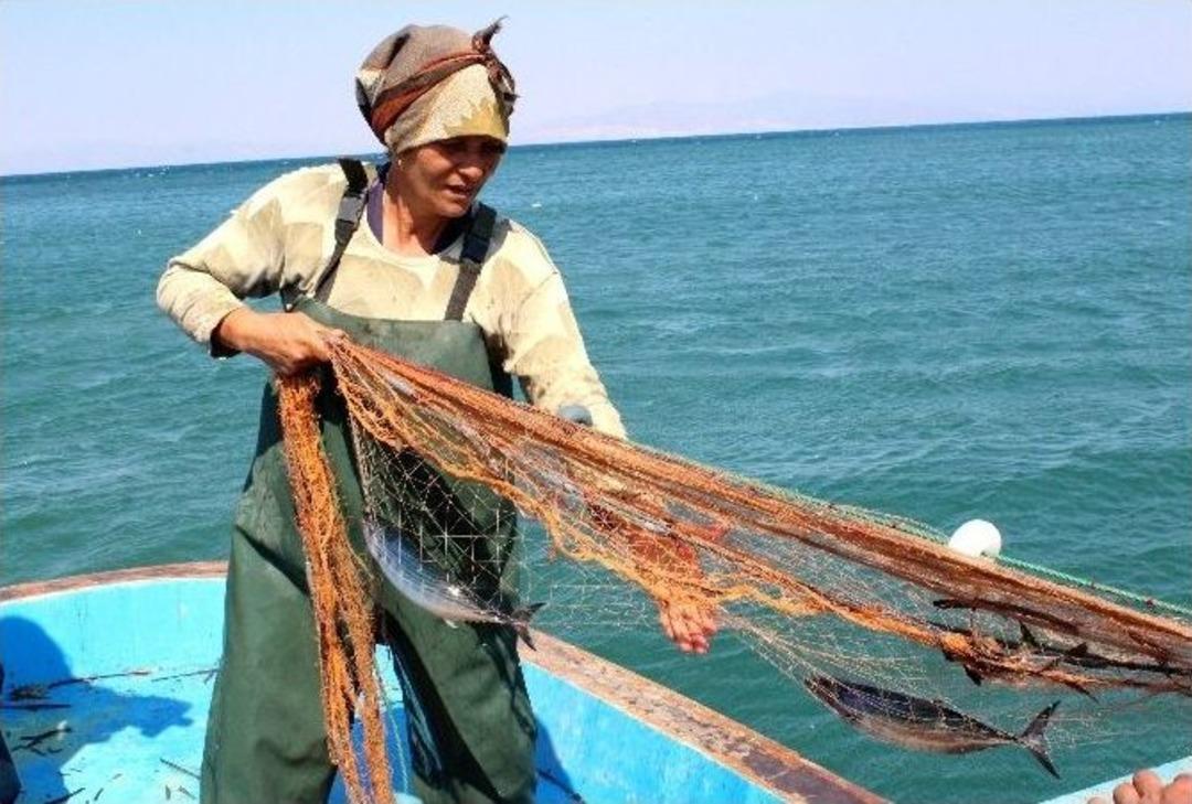 (&ouml;zel Haber) Ağların Sultanı Ekmeğini Denizden &Ccedil;ıkartıyor