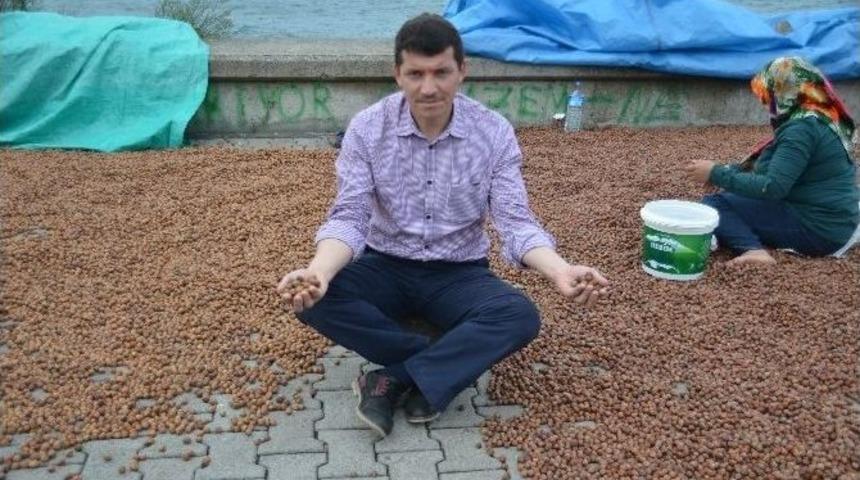 Rekolte D&uuml;ş&uuml;k, Beklenti B&uuml;y&uuml;k