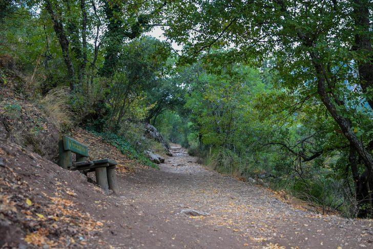 Büyük İskender'in doğu seferinde surlarını aşamadığı tek şehir  G2