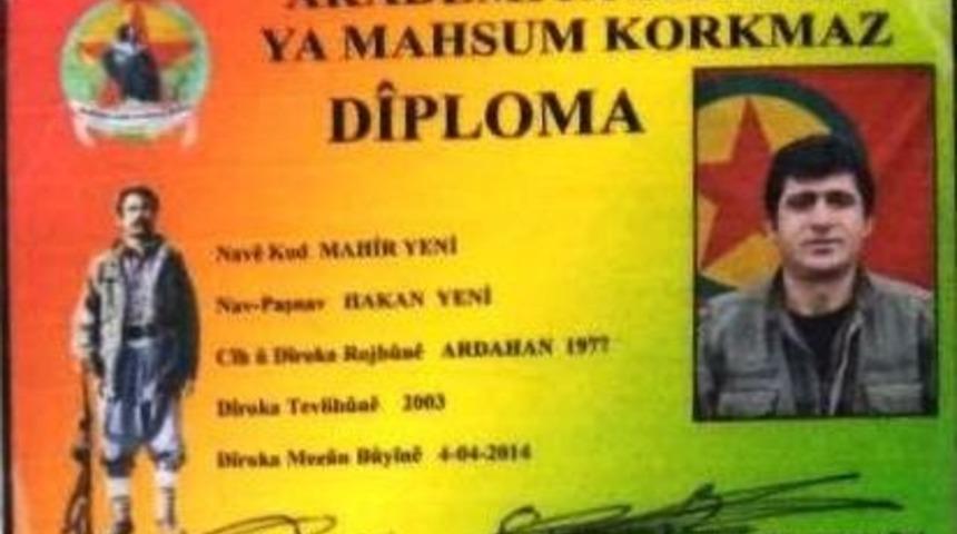 Pkk&rsquo;nın Tend&uuml;rek B&ouml;lge Sorumlusu &Ouml;ld&uuml;r&uuml;ld&uuml;