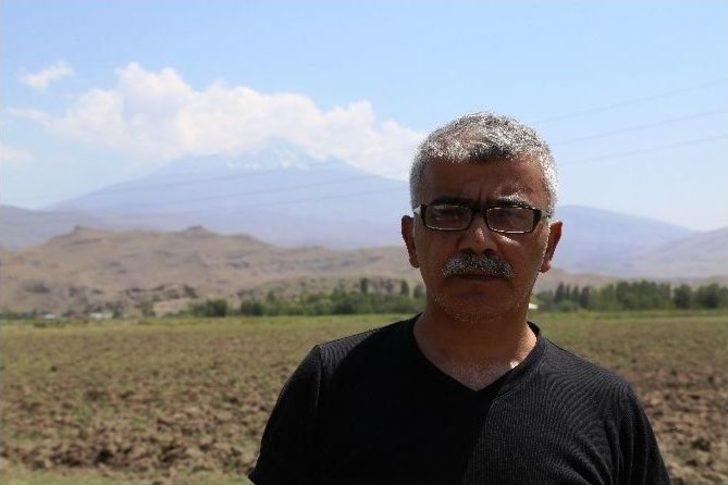 Ağrı Dağı’ndaki 386 Bitki Türü Kitaplaştırıldı G2