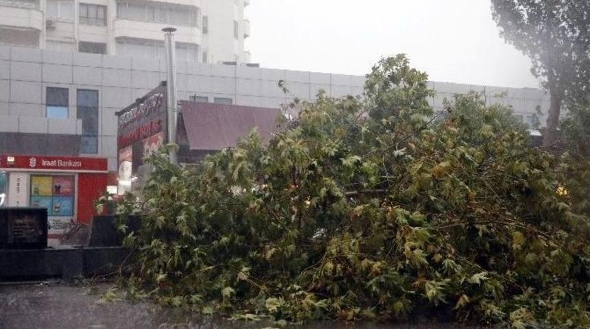 Fırtınada 43 Hatta Elektrik Kesintisi Yaşandı