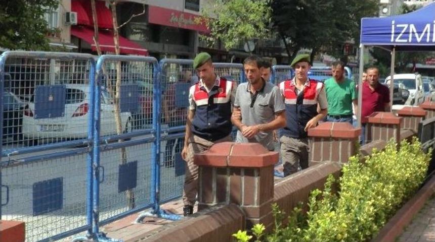 Kocaeli&rsquo;de 200 K&ouml;k Hint Keneviri Ele Ge&ccedil;irildi