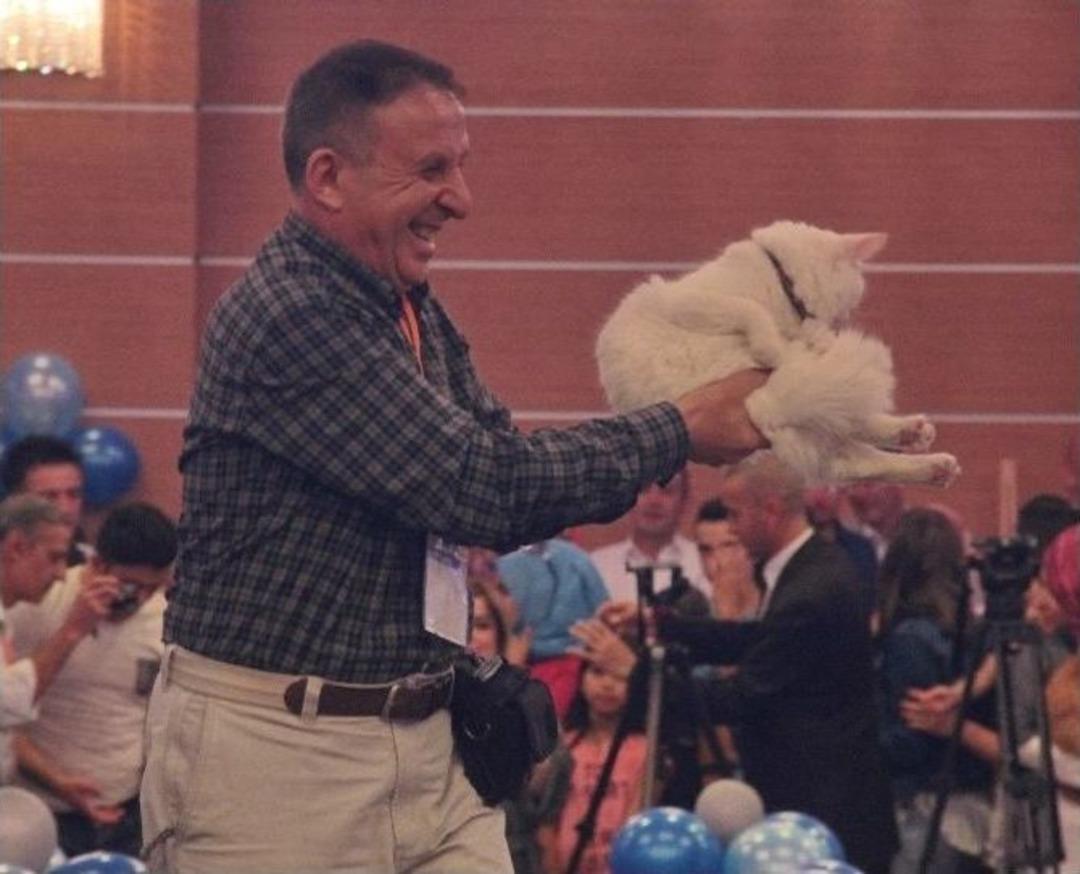 En G&uuml;zel Kediler Yarıştı