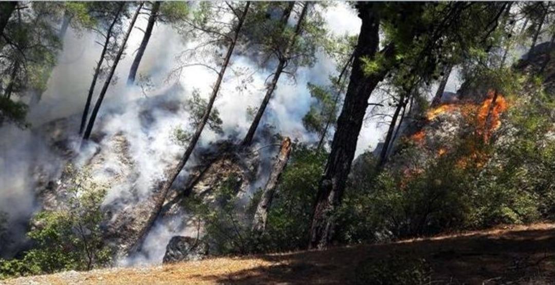 Yıldırım Yangınları Başladı
