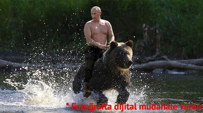 Rus devlet televizyonunun Putin'in maceralarını aktaran haftalık belgeseli yayında: Ayılar aptal değil, Putin'i g&ouml;r&uuml;nce ne yapacaklarını bilirler