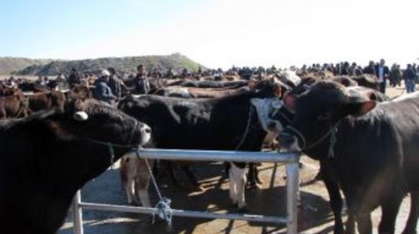 Aydın Dsyb&rsquo;den Kurban Keseceklere Uyarı