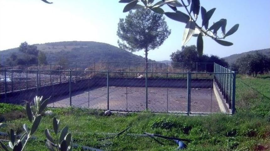 Barış; &ldquo;&ccedil;evre Kirliliği B&ouml;lgedeki T&uuml;m Yaşama Zarar Veriyor&rdquo;