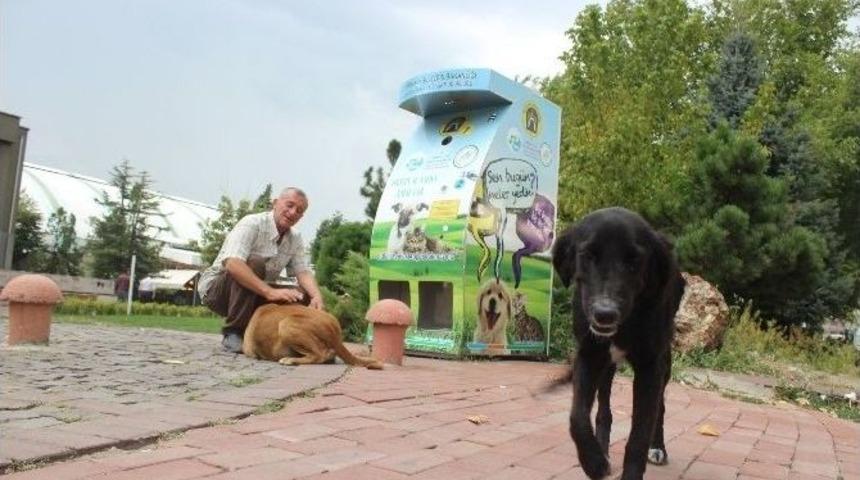 Mama Matik İ&ccedil;in Hayvan Severlerden Teşekk&uuml;r