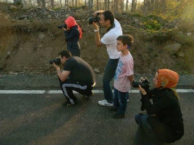 Fatsa Hem Her Alanda Kurs A&ccedil;acak 1