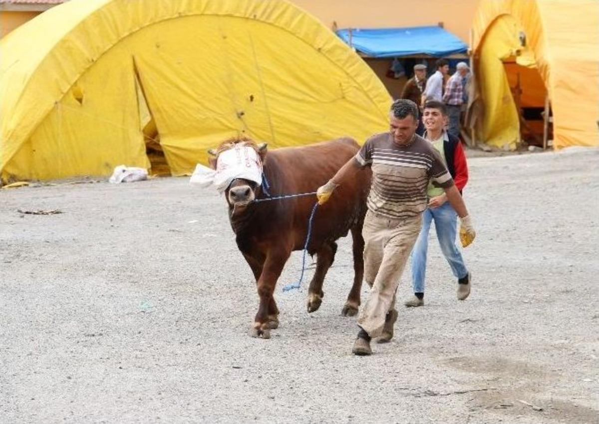 Yozgat&rsquo;ta Kurbanlık Hayvanlar Pazarda Alıcılarını Bekliyor