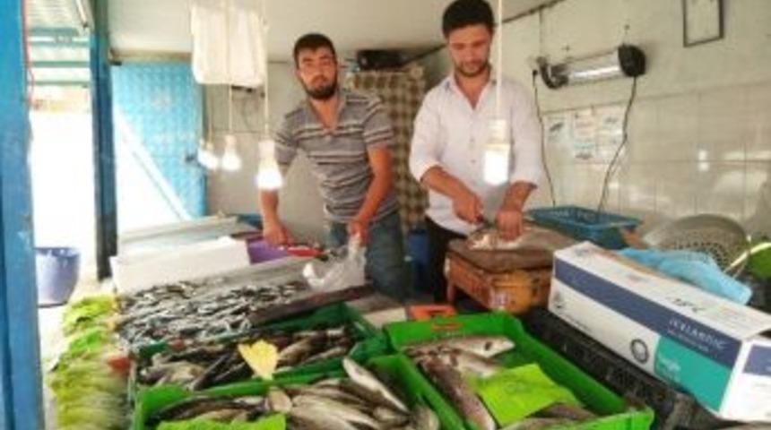 Hisarcık&rsquo;ta Balıklar Tezgahtaki Yerini Aldı