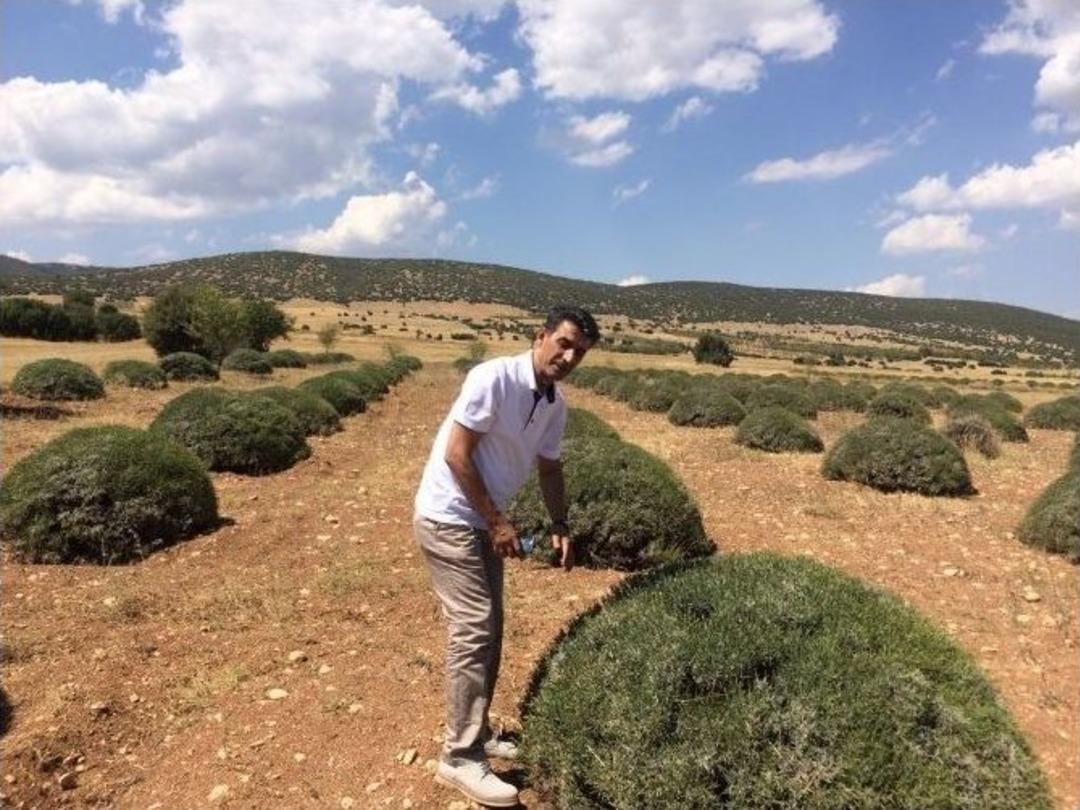 B&uuml;y&uuml;kşehir&rsquo;den &Ccedil;ift&ccedil;ilere Destek