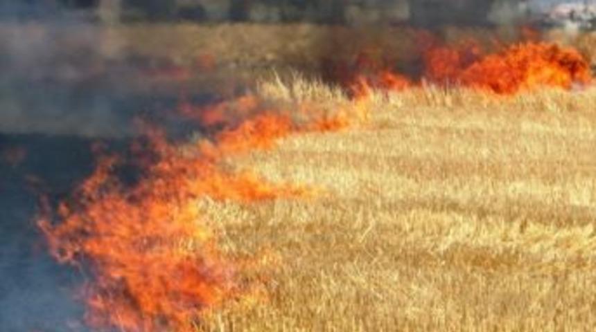 Anız Yangınları Doğaya Zarar Veriyor