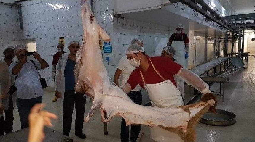 Manavgat Mezbahası Kurbana Hazır