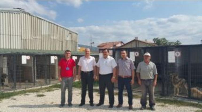 Hayvan Barınağı Yenileniyor