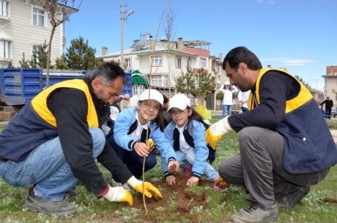 Paland&ouml;ken&rsquo;in &Ccedil;ehresi Değişiyor
