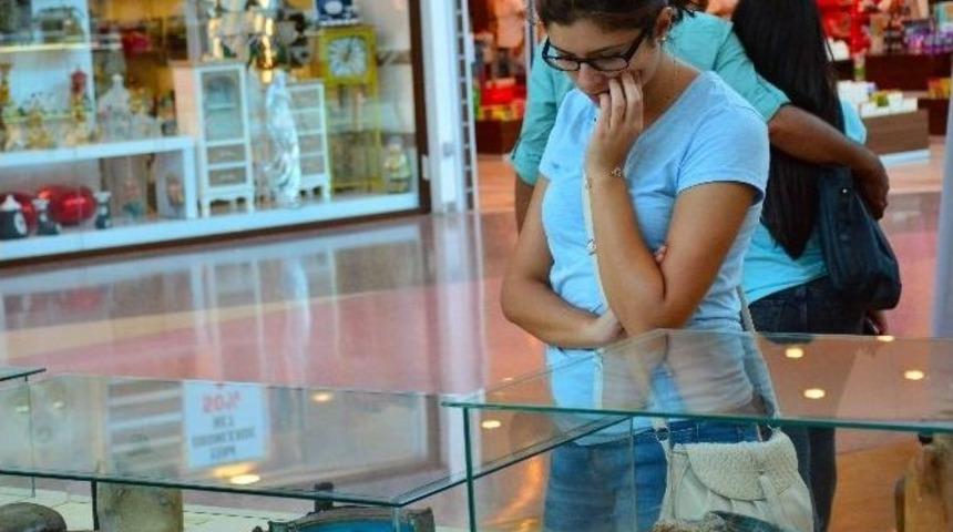 &ldquo;&ccedil;anakkale M&uuml;zesi Ve Fotoğraf Sergisi&rdquo; Adana Optimum&rsquo;da A&ccedil;ıldı