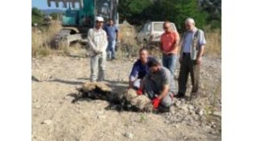 Batı Karadeniz&rsquo;in Dev Projesi &lsquo;r&uuml;ya Şehir&rsquo; Start Alıyor