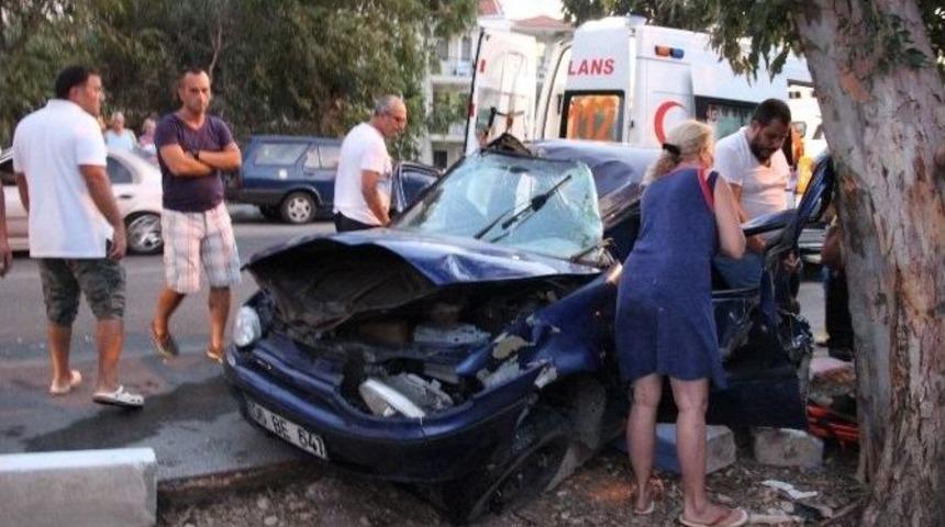 Kediye &Ccedil;arpmamaya &Ccedil;alışırken Ağaca &Ccedil;arptı