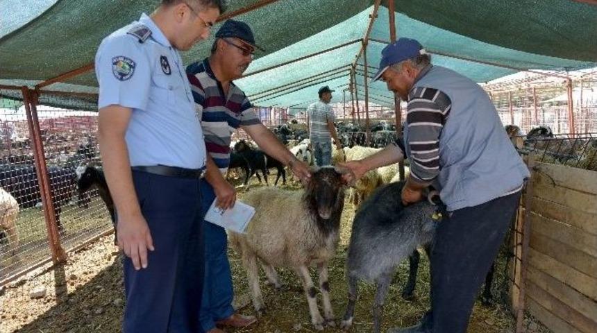 Kumluca&rsquo;da Kurbanlık Satış Noktaları Belirlendi