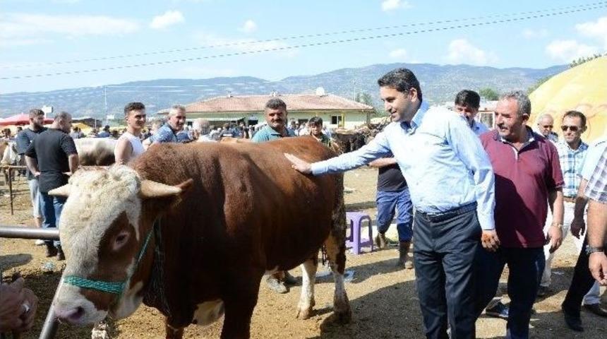 Tokat&rsquo;ta Kurbanını Kardeşinle Paylaş Kampanyası