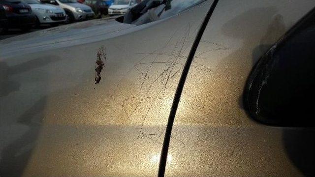 Avm’nin Kadın Güvenlikçisi Müşterinin Otomobilini Çizdi 1