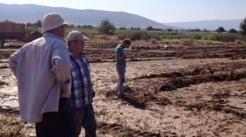 Kurumaya Bırakılan &Uuml;z&uuml;mleri Sel Aldı