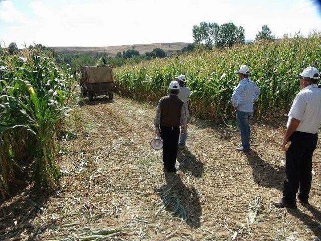 Yozgat’ta Slajlık Mısır Ve Soya Fasulyesi Tarla Günü Düzenlendi