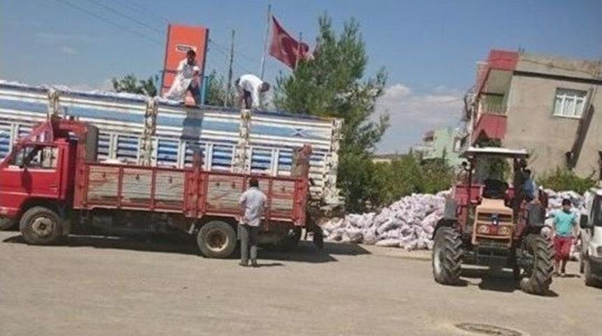 Besni İl&ccedil;esinde K&ouml;m&uuml;r Dağıtımı Başladı