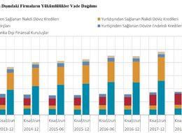 Finans dışı şirketlerin döviz pozisyon açığı 215.904 milyar dolara geriledi