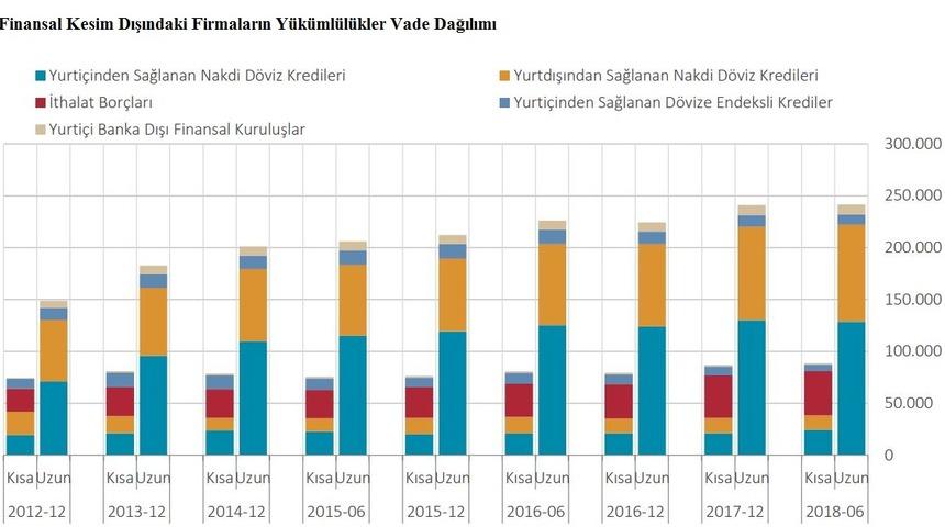 Finans dışı şirketlerin döviz pozisyon açığı 215.904 milyar dolara geriledi
