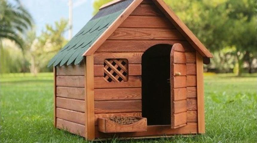 D&uuml;nyanın İlk Isı Yalıtımlı K&ouml;pek Kul&uuml;besini Bir T&uuml;rk Firması &Uuml;retti