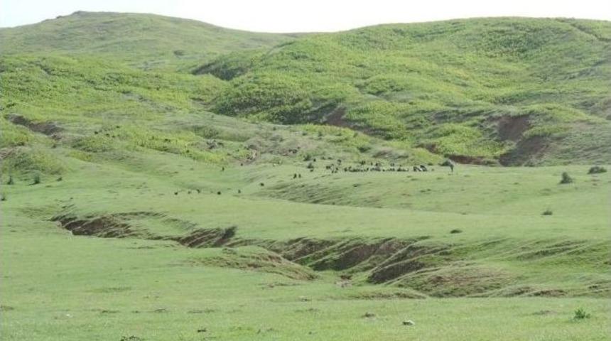 Orman Ve Su İşleri Bakanlığı Mera Islahı &Ccedil;alışmalarına Hız Verdi