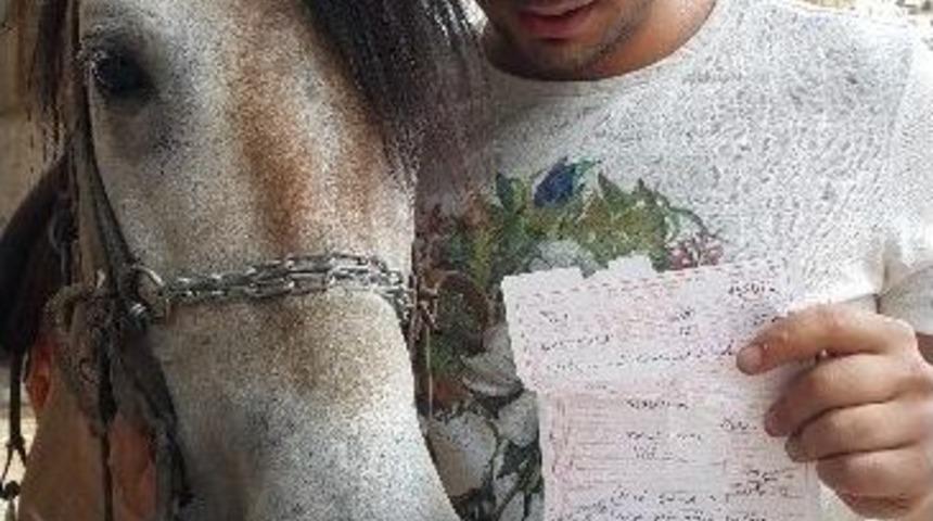 Yarış Atına Trafik Cezası