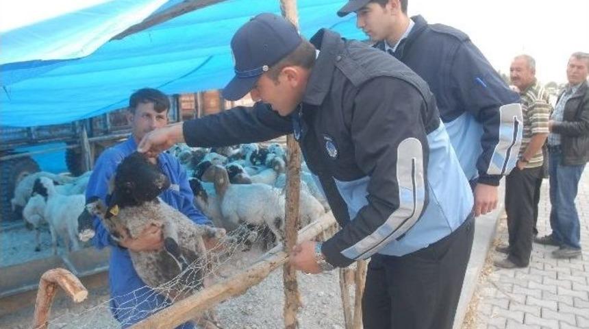 Karaman&rsquo;da Kurban Satış Ve Kesim Yerleri A&ccedil;ıklandı