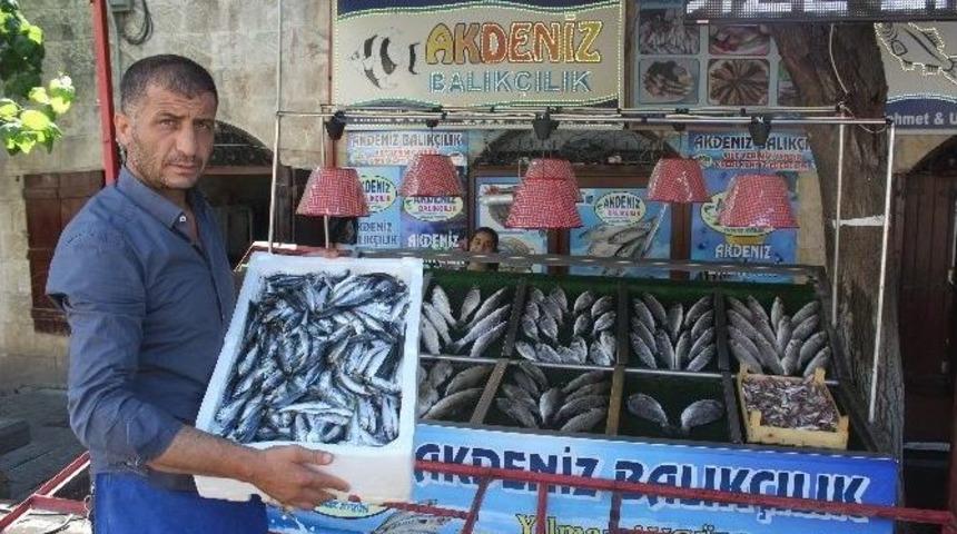 Kilis&rsquo;te Balık Tezgaha İndi