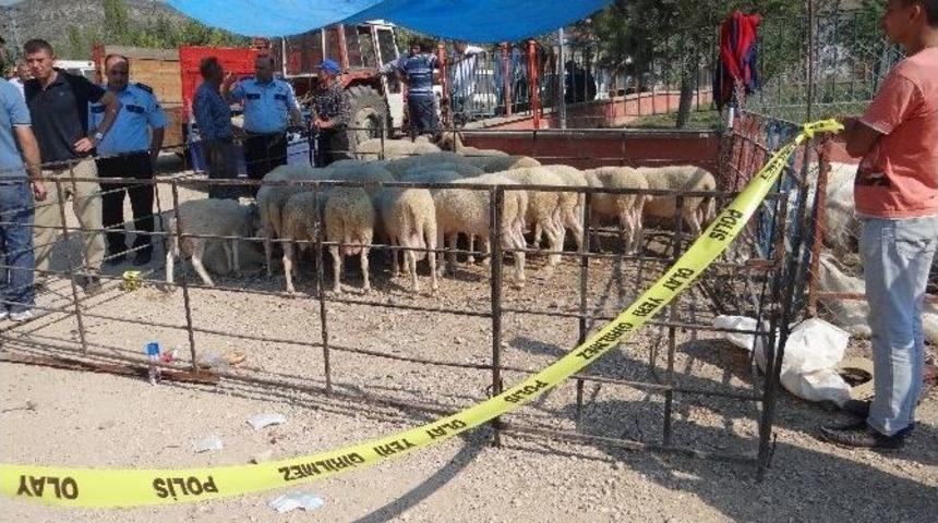 Kurban Pazarında Bı&ccedil;aklı Yer Kavgası, 3 Yaralı