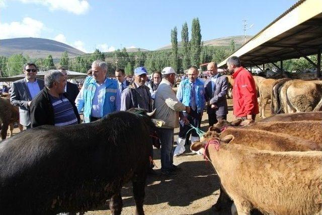 Vali Ustaoğlu Ve Başkan Memiş Kurban Pazarını İnceledi