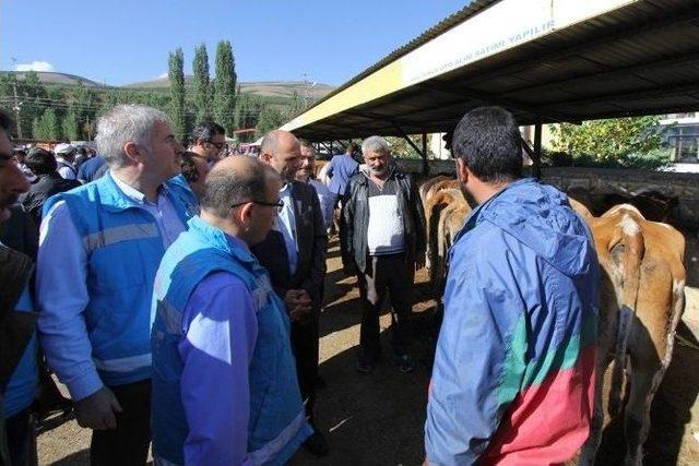 Vali Ustaoğlu Ve Başkan Memiş Kurban Pazarını İnceledi