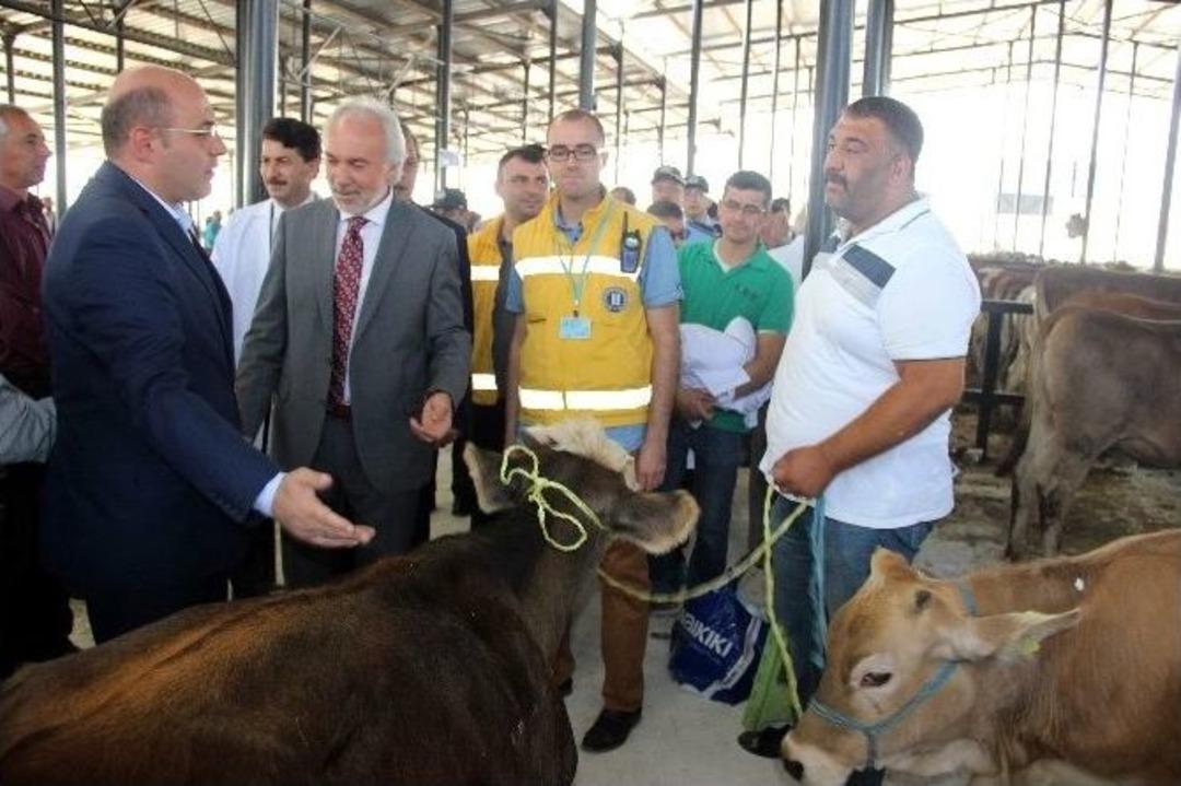 Canlı Hayvan Pazarı T&ouml;renle A&ccedil;ıldı