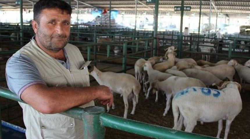 (&ouml;zel Haber) Pazarın En B&uuml;y&uuml;ğ&uuml; A&ccedil;ık Artırmayla Satıldı