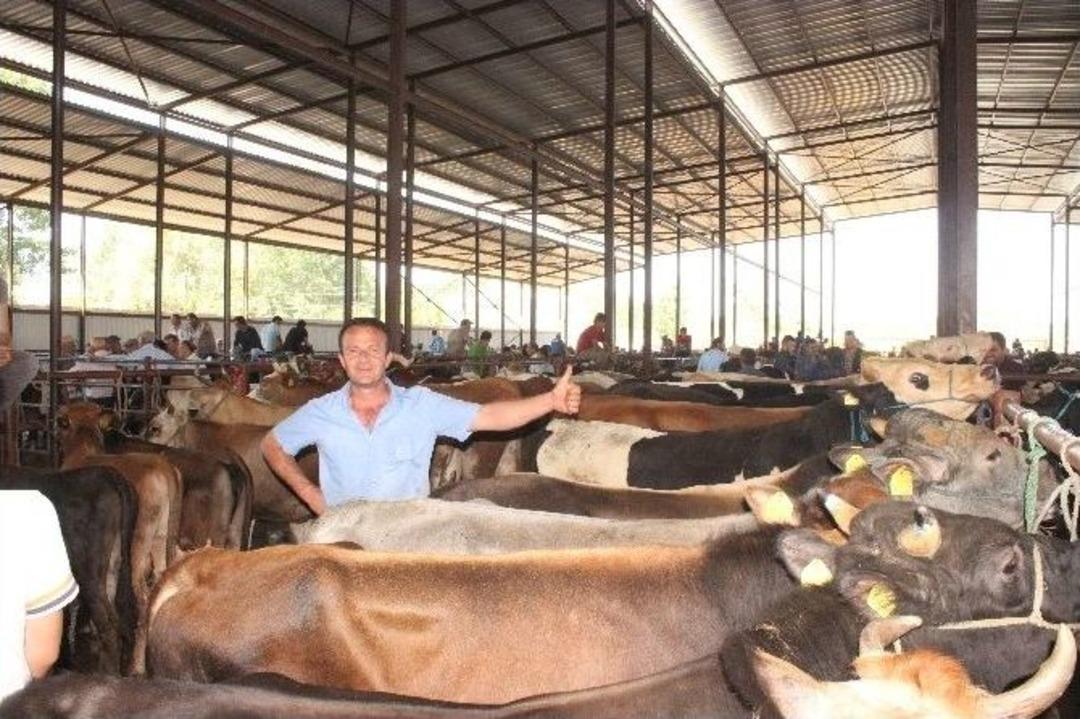 Vatandaş Kurbanlık Arayışına Hız Verdi